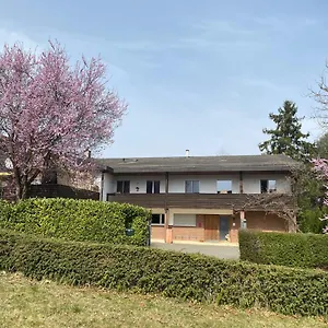  Appartamento In Leafy Suburb